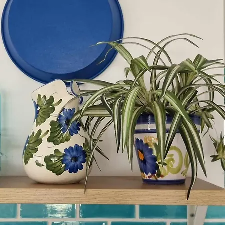 Hébergement de vacances Casitas De La Barrosa Con Jardin Y Piscina Chiclana de la Frontera